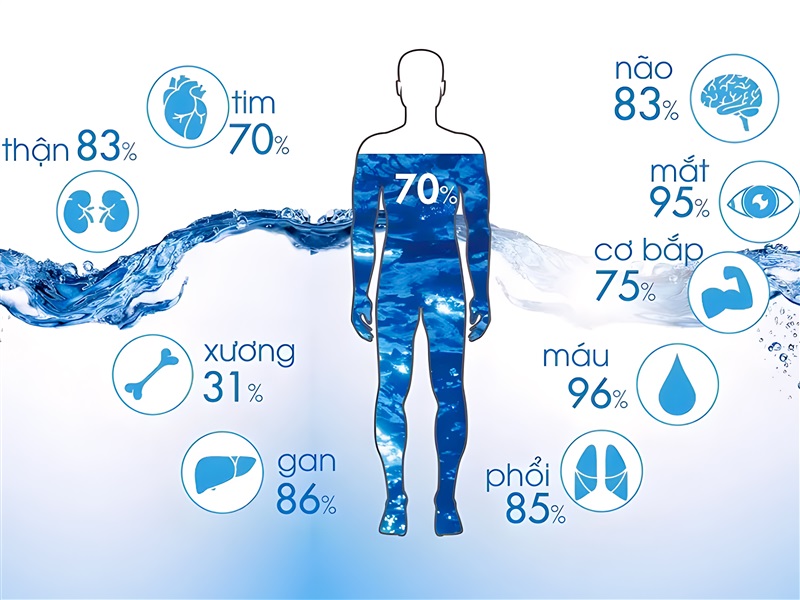05 Lợi Ích Sức Khỏe Hàng Đầu Mà Cơ Thể Bạn Đang Cầu Xin Mỗi Ngày